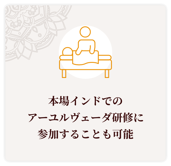 本場インドでのアーユルヴェーダ研修に参加することも可能